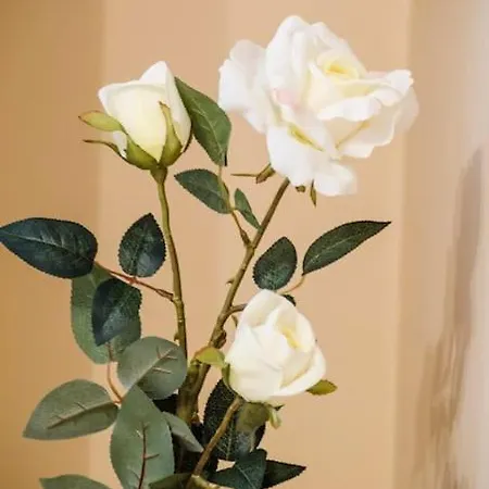 19 Cozy With Balcony *