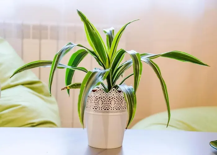 アパート 19 Cozy With Balcony ソフィア