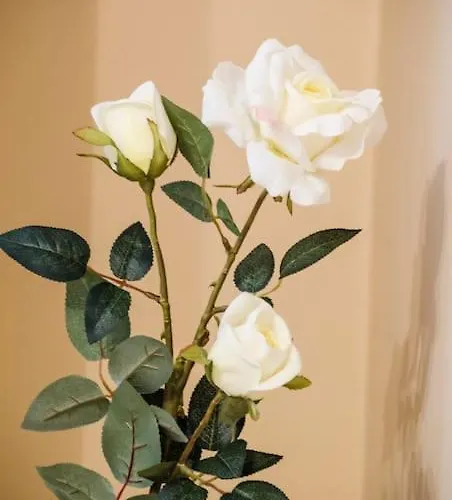 19 Cozy With Balcony *